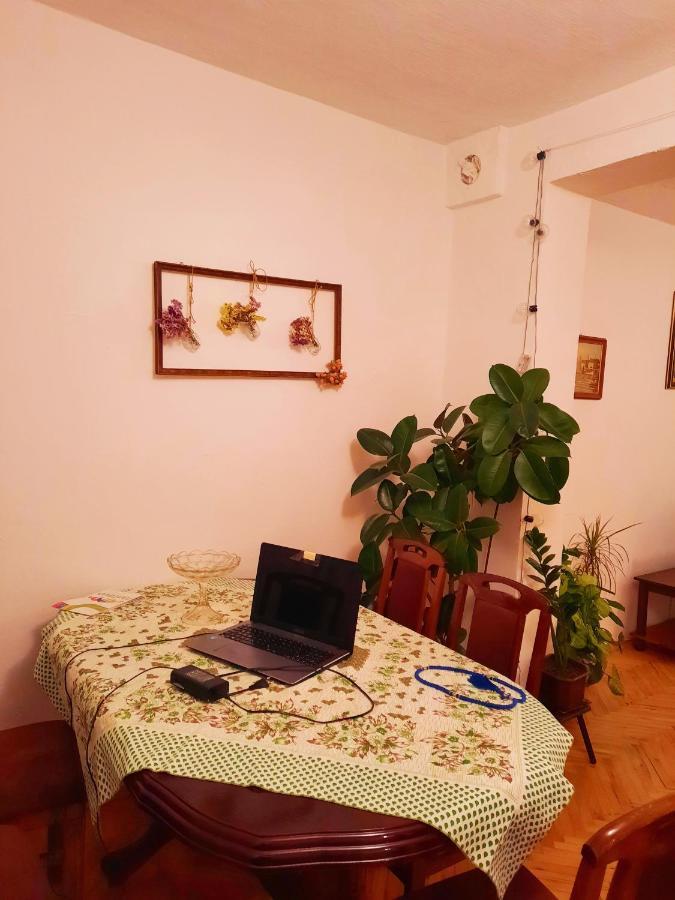 Sunshine House Villa Pančevo Exteriör bild