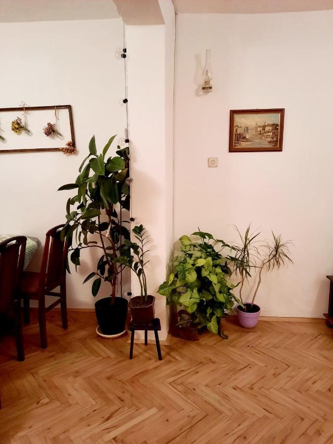 Sunshine House Villa Pančevo Exteriör bild