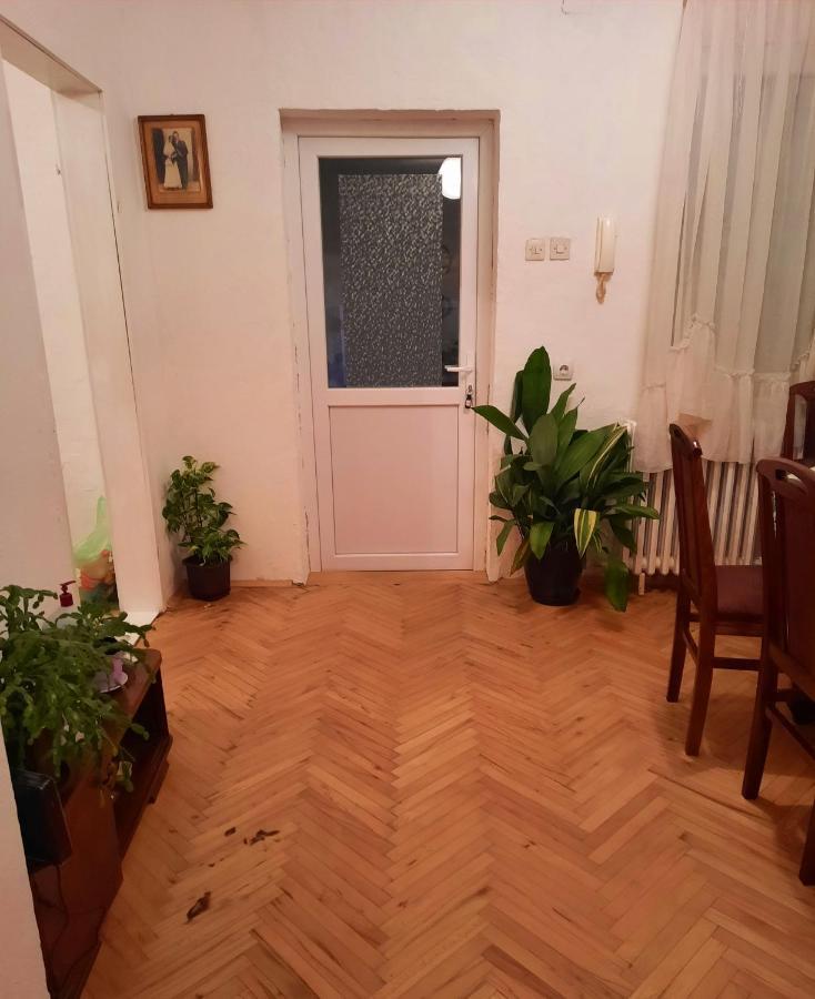 Sunshine House Villa Pančevo Exteriör bild
