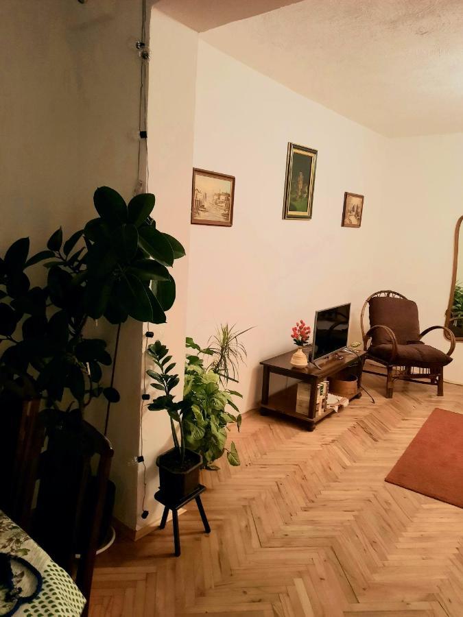 Sunshine House Villa Pančevo Exteriör bild